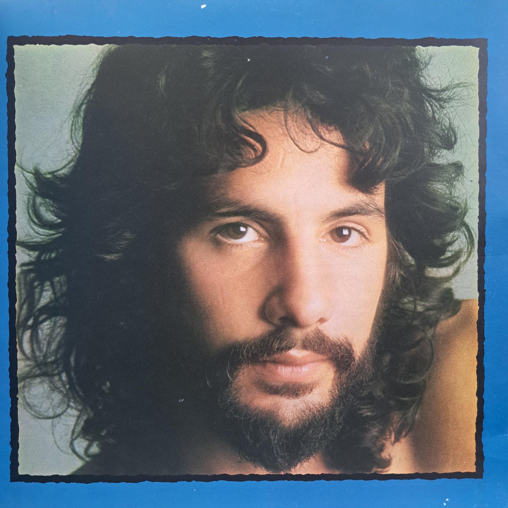 Cat Stevens – Teaser And The Firecat - Disc VINIL LP VG VG+ - imagine 3