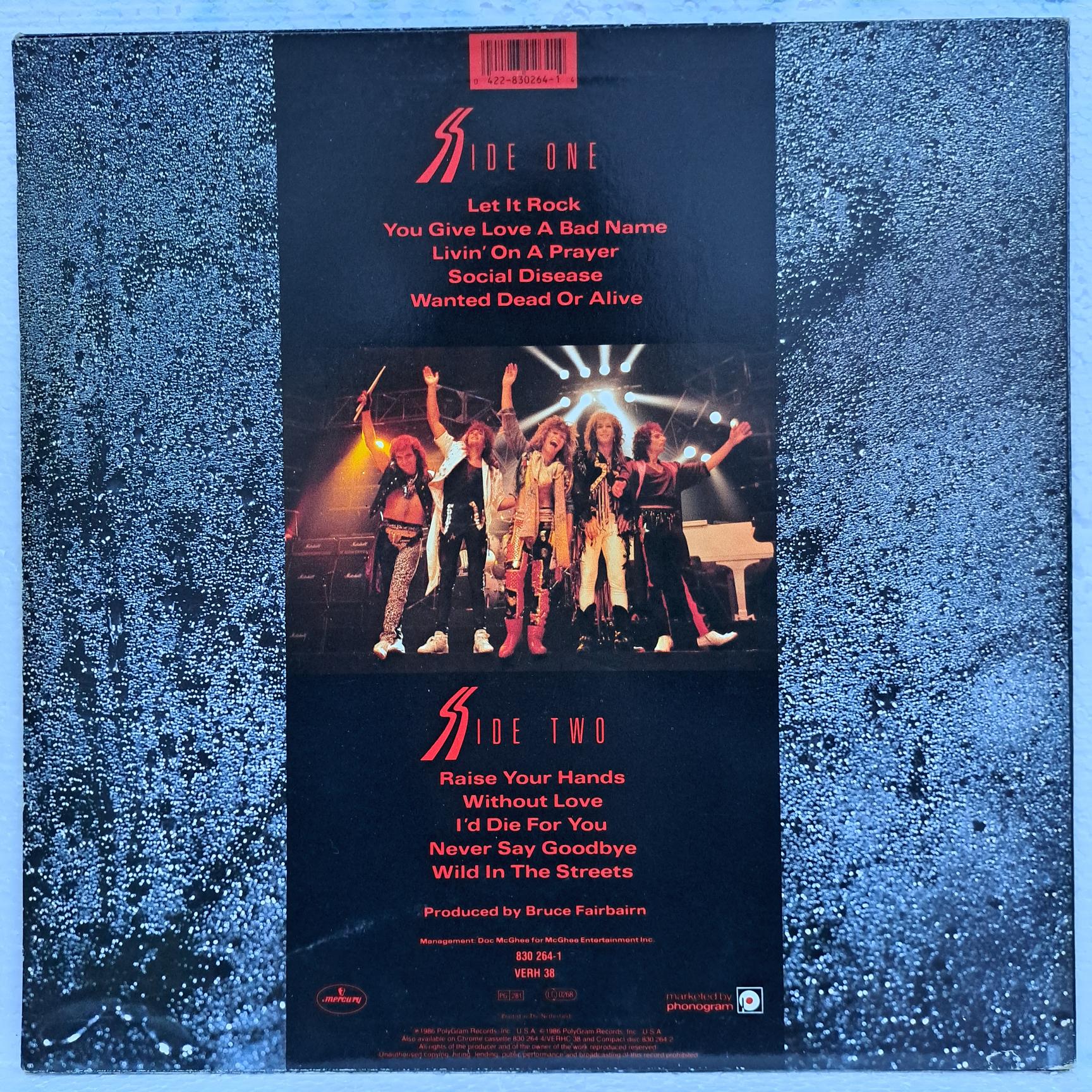 Bon Jovi – Slippery When Wet Disc VINIL LP VG VG- - imagine 2